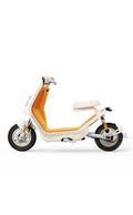 Cute Retro-Style Premium Electric Scooter