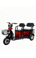 Domo Dual-Purpose Electric Tricycle for Passengers and Cargo