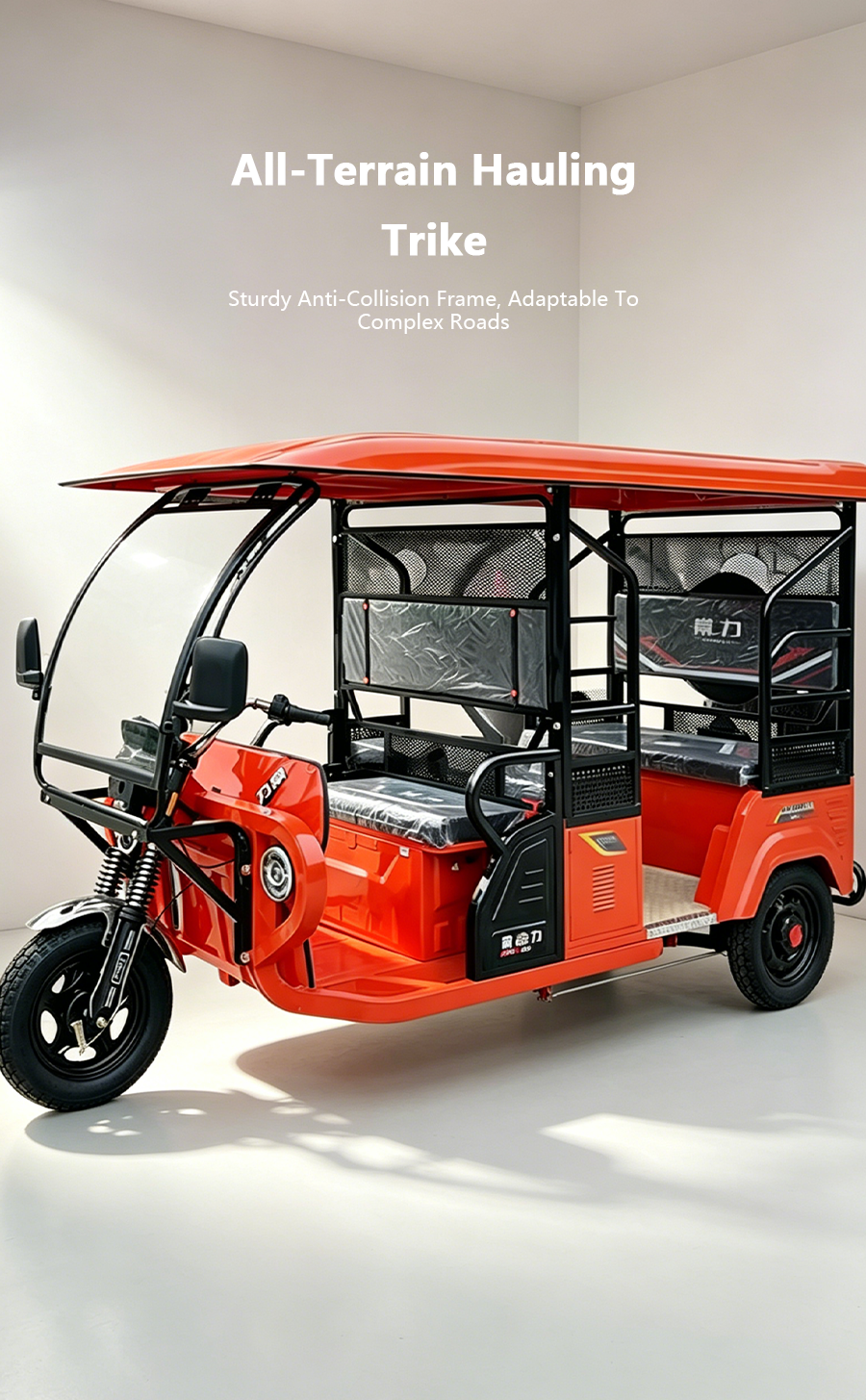 DaPo Multi-Passenger Electric Sightseeing Tricycle
