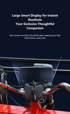 DaWo Multi-Person Party Electric Tricycle