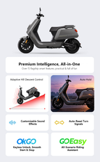 DiYo Grey High-Performance Electric Commuter Scooter