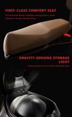 DoDe Retro-Style Premium Electric Scooter
